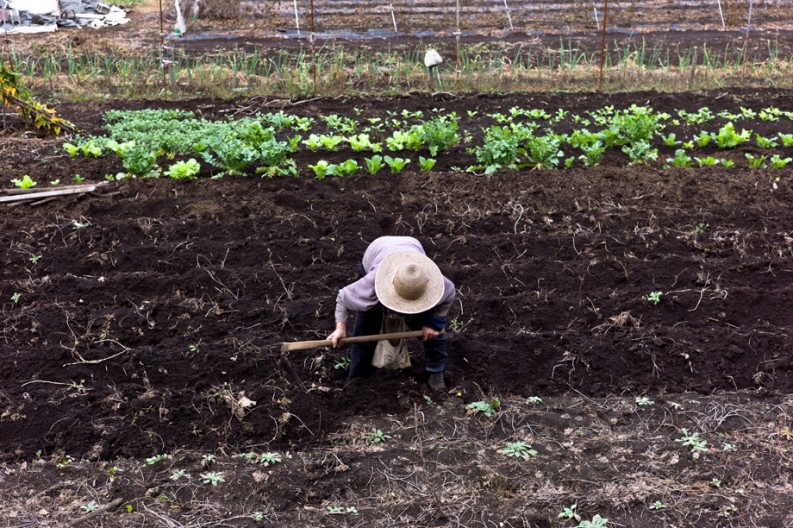 notworkrelated_mtfuji1_26