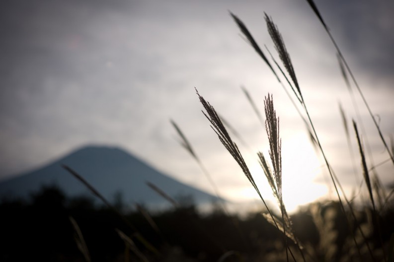 notworkrelated_mtfuji1_28