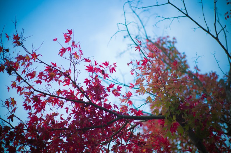 notworkrelated_mtfuji1_30