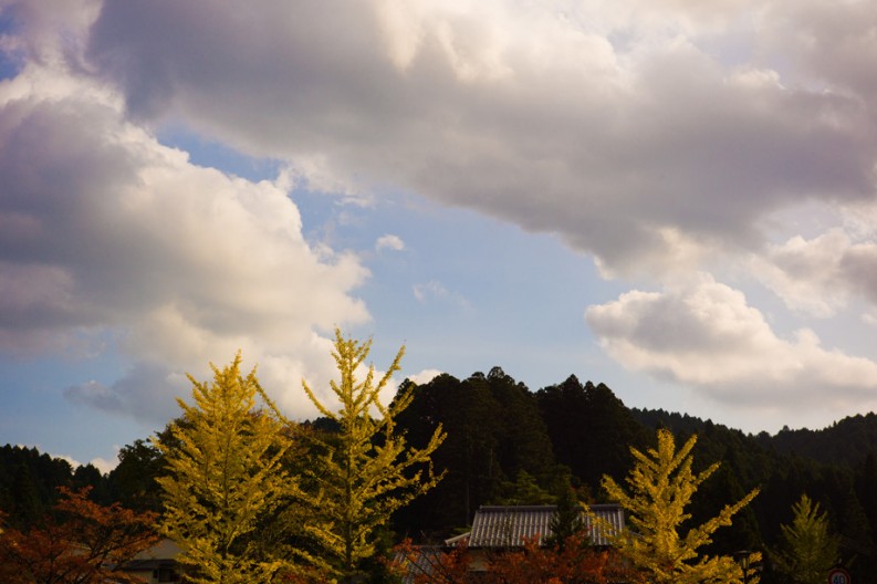 notworkrelated_Koyasan_07