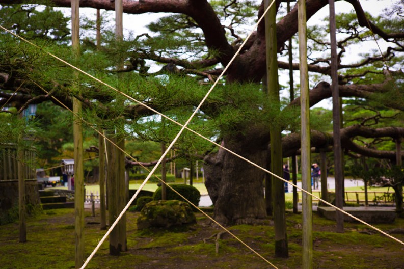 notworkrelated_Kyoto1_11