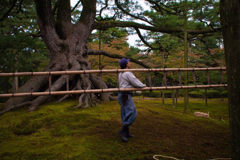 notworkrelated_Kyoto1_14