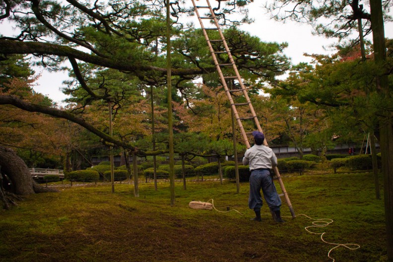 notworkrelated_Kyoto1_15