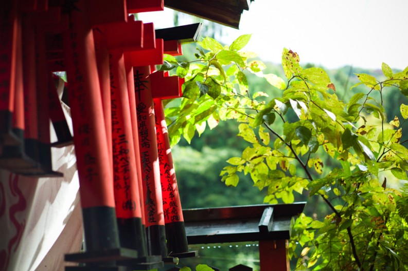 notworkrelated_Kyoto3_06