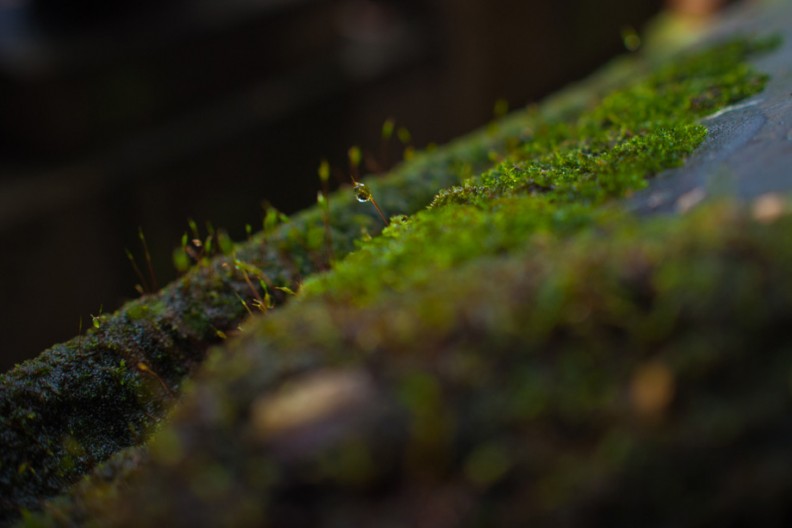 notworkrelated_Kyoto3_11