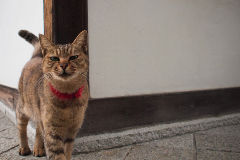 notworkrelated_Kyoto3_16