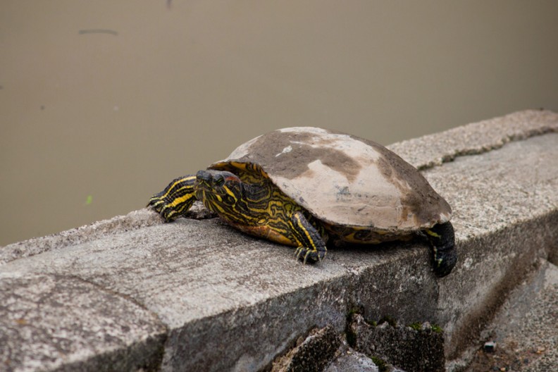 notworkrelated_Kyoto3_17