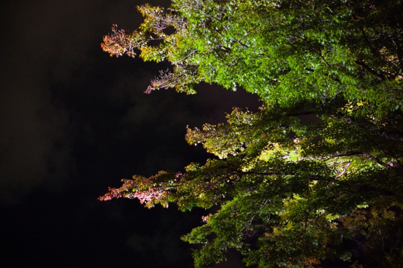 notworkrelated_Kyoto3_33