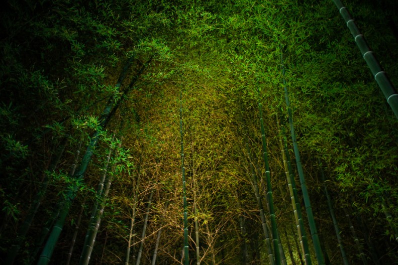 notworkrelated_Kyoto3_41