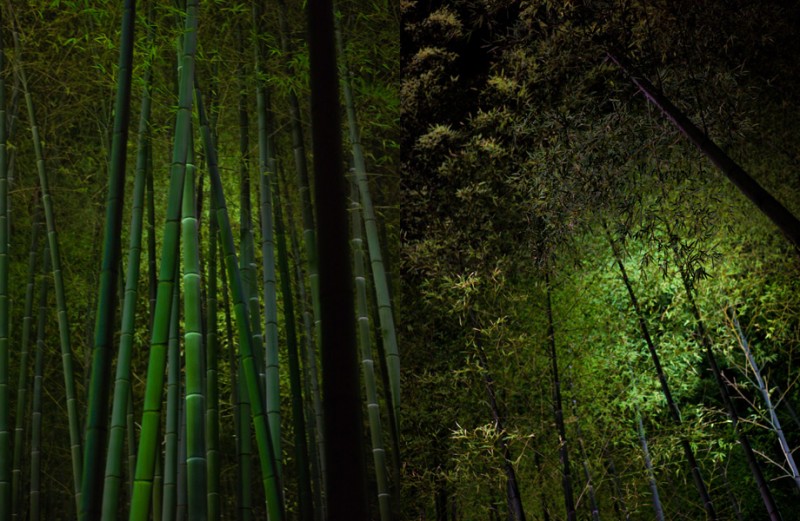 notworkrelated_Kyoto3_42
