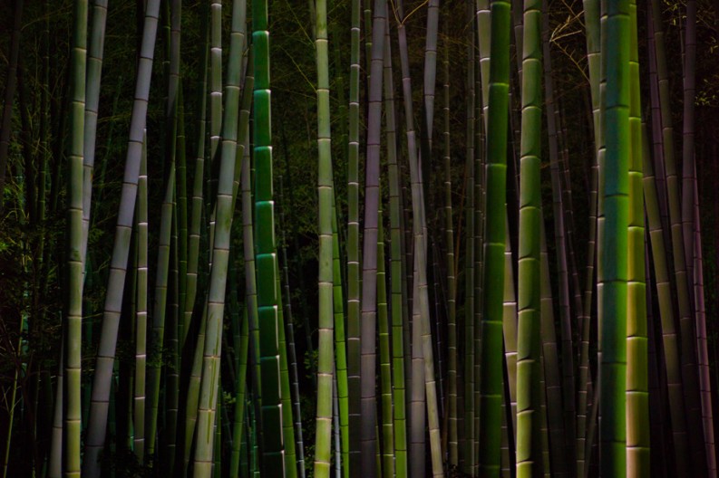 notworkrelated_Kyoto3_43