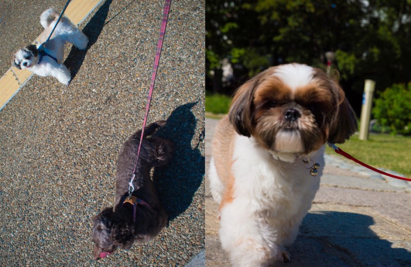 notworkrelated_Osaka2_16