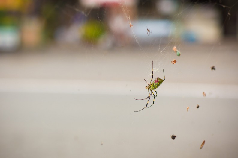 notworkrelated_mtfuji2_23