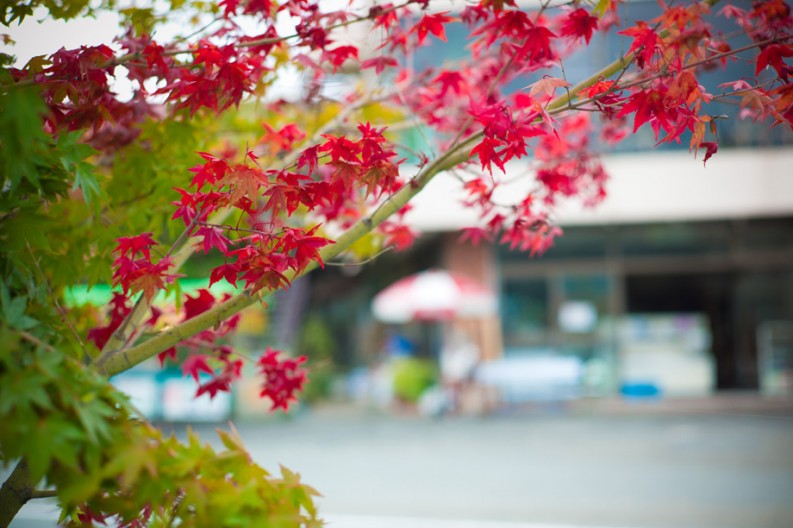 notworkrelated_mtfuji2_24