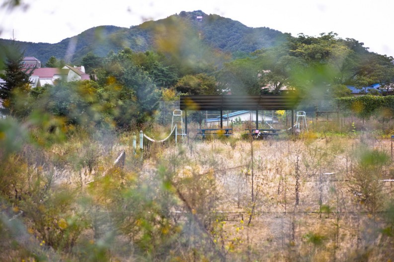 notworkrelated_mtfuji2_26