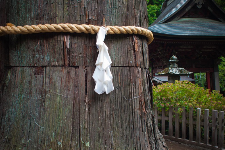 notworkrelated_mtfuji2_36