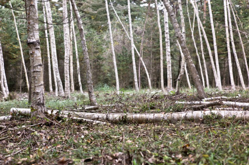 notworkrelated_mtfuji2_37