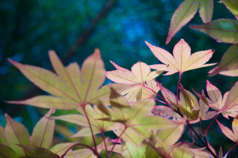 notworkrelated_nanao_10
