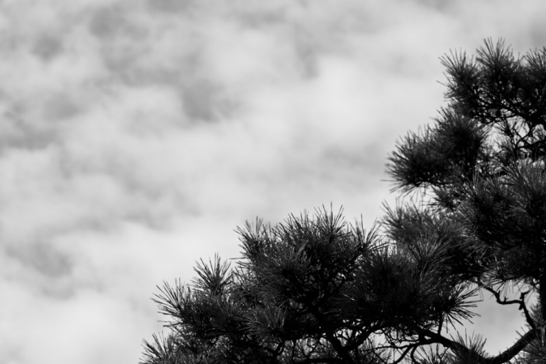 notworkrelated_nanao_11