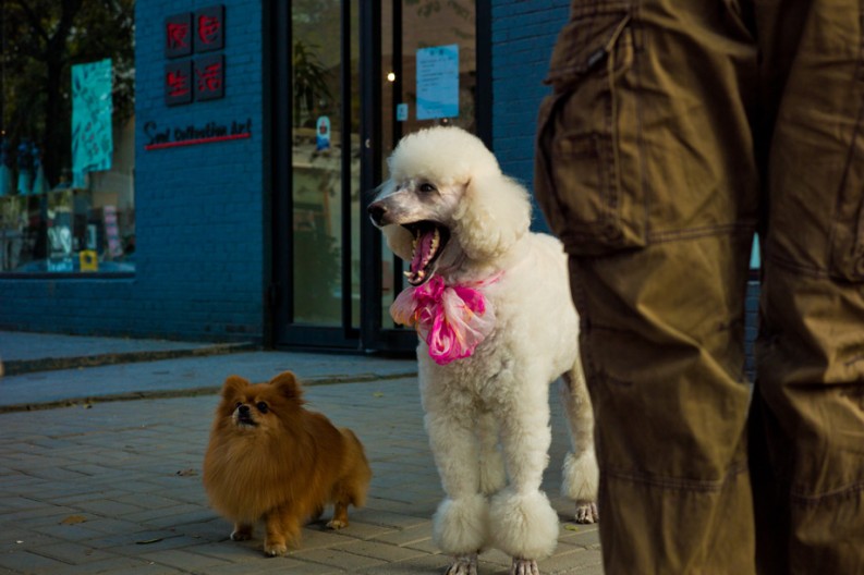 notworkrelated_Beijing2_14