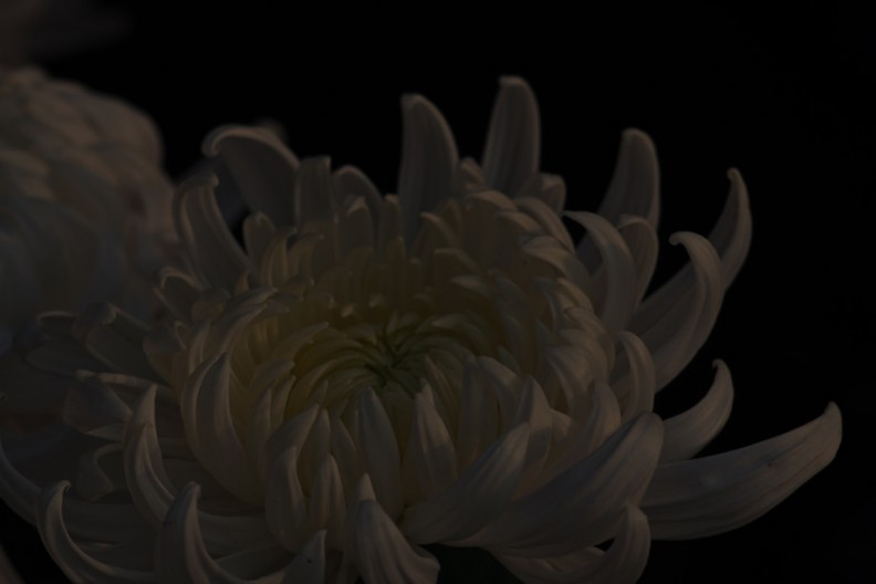 notworkrelated_Beijing2_62