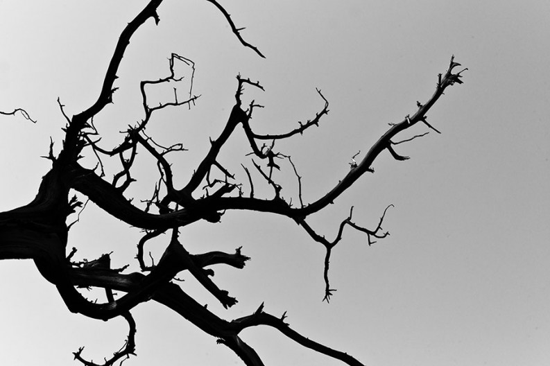 notworkrelated_lamatemple_022
