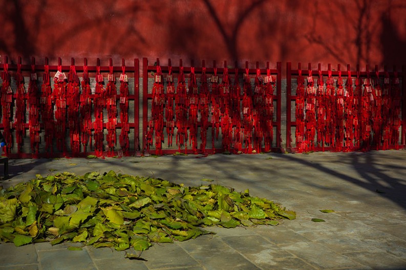 notworkrelated_lamatemple_027