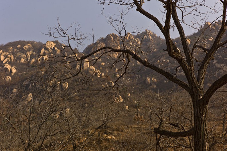 notworkrelated_silver_mountain014