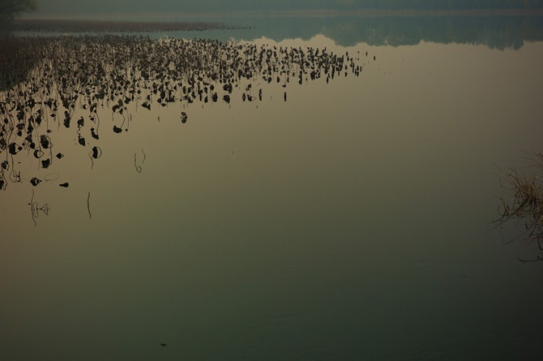 notworkrelated_summerpalace_16