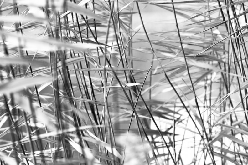 notworkrelated_summerpalace_18