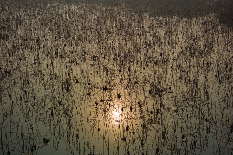 notworkrelated_summerpalace_20