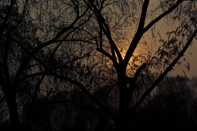 notworkrelated_summerpalace_22