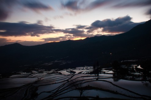 Yuanyang Rice Terraces at Dawn