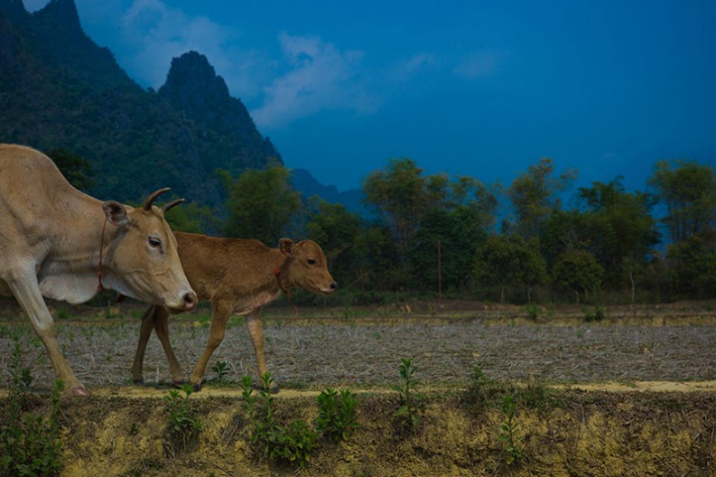 notworkrelated laos Vang Vieng 03