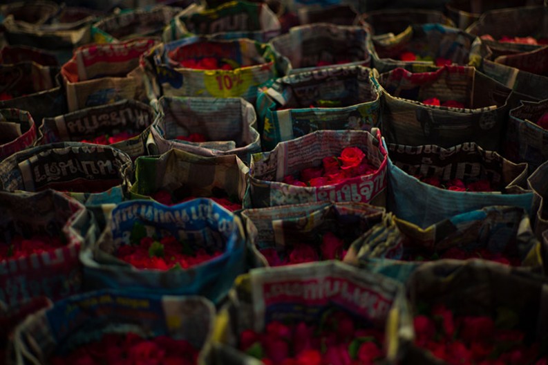 notworkrelated bangkok chatuchak 22