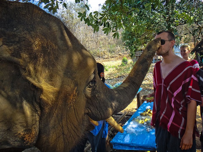 notworkrelated chiang mai elephants 06