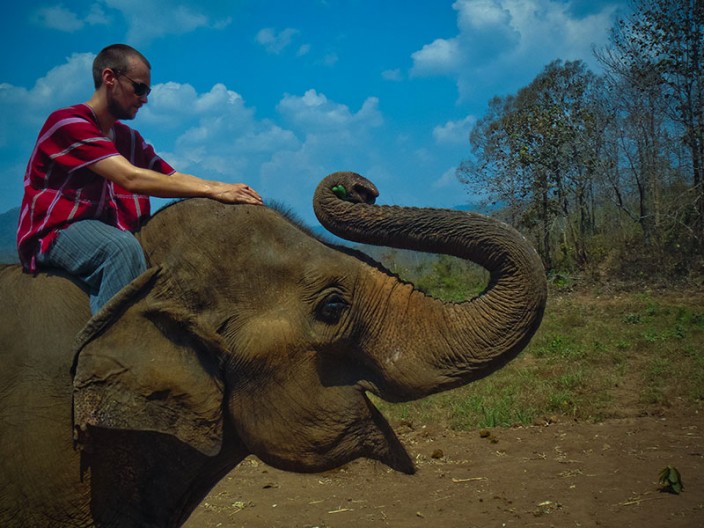 notworkrelated chiang mai elephants 10