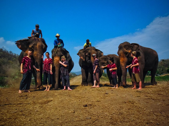 notworkrelated chiang mai elephants 18