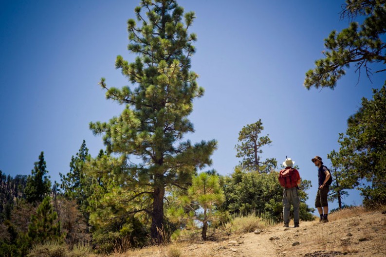 notworkrelated Los Angeles Forest Hike