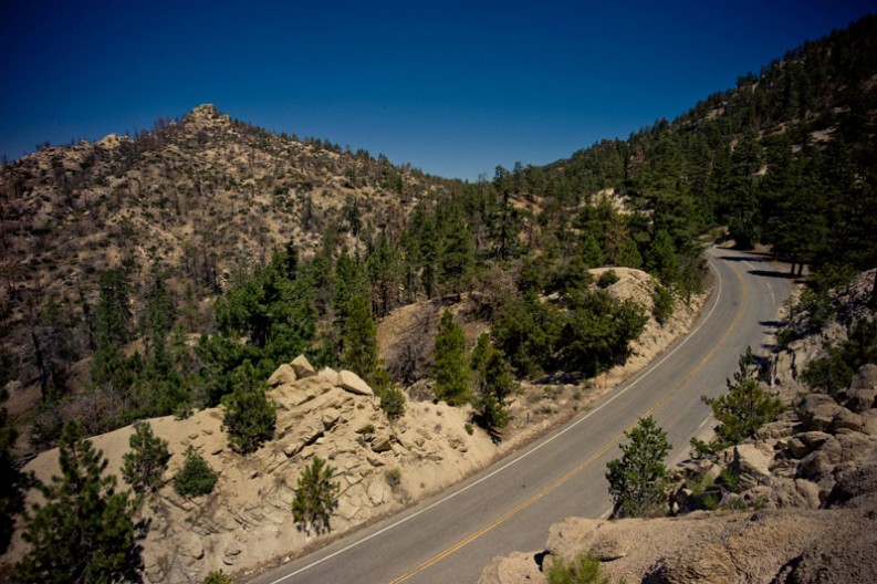 notworkrelated Los Angeles Forest Hike