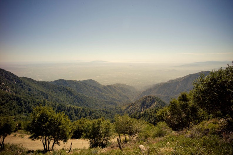 notworkrelated Los Angeles Forest Hike