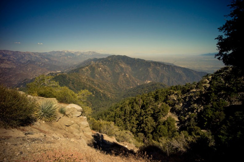 notworkrelated Los Angeles Forest Hike