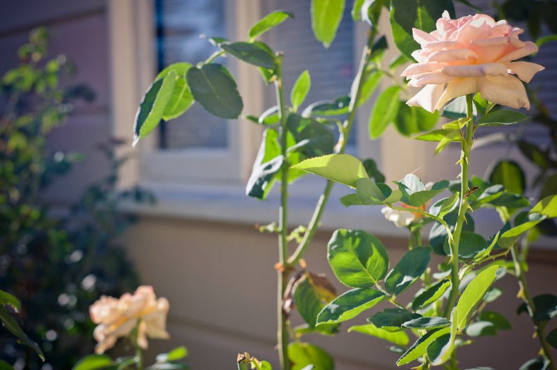 notworkrelated Pasadena LA