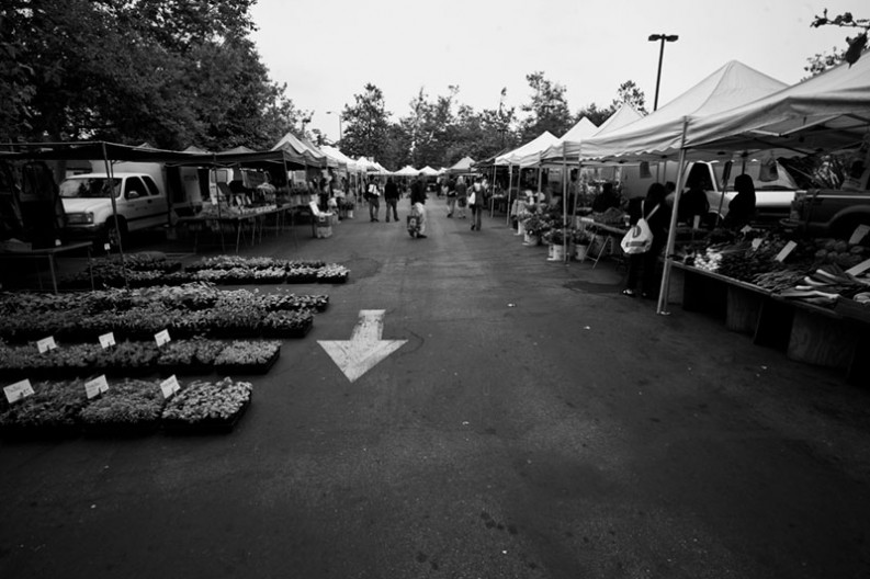 notworkrelated farmers market venice beach LA