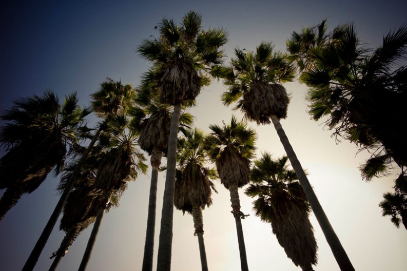 notworkrelated_venice_beach_015