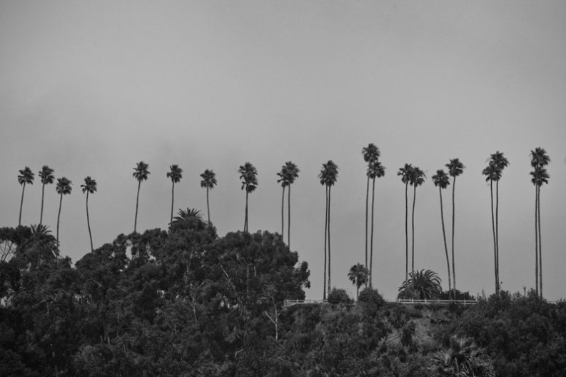 Venice Beach, LA