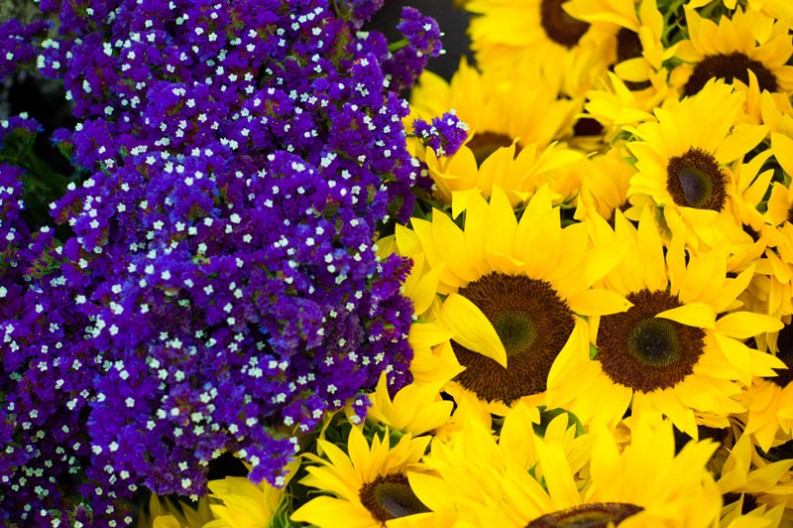 Santa Monica Farmers Market, LA