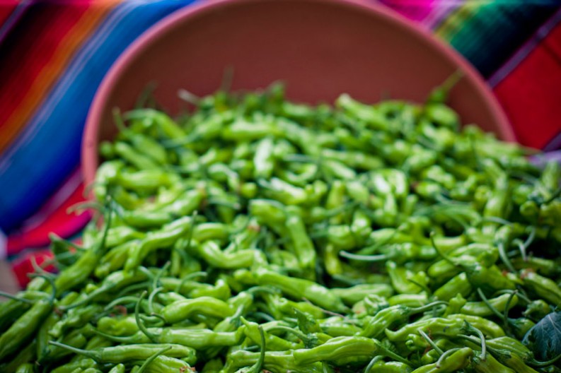 Santa Monica Farmers Market, LA