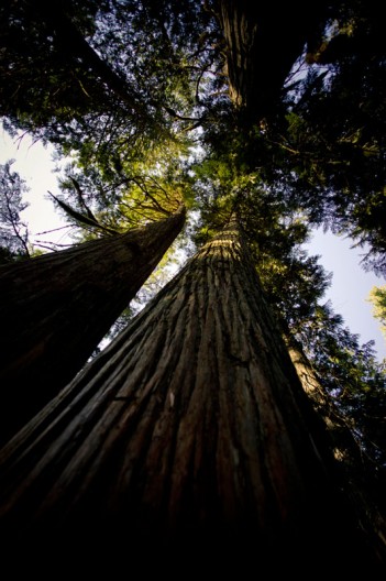 notworkrelated_intrepid_golden_26