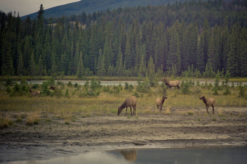 notworkrelated_intrepid_jasper_18